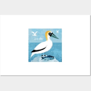 Gannet and fish Posters and Art